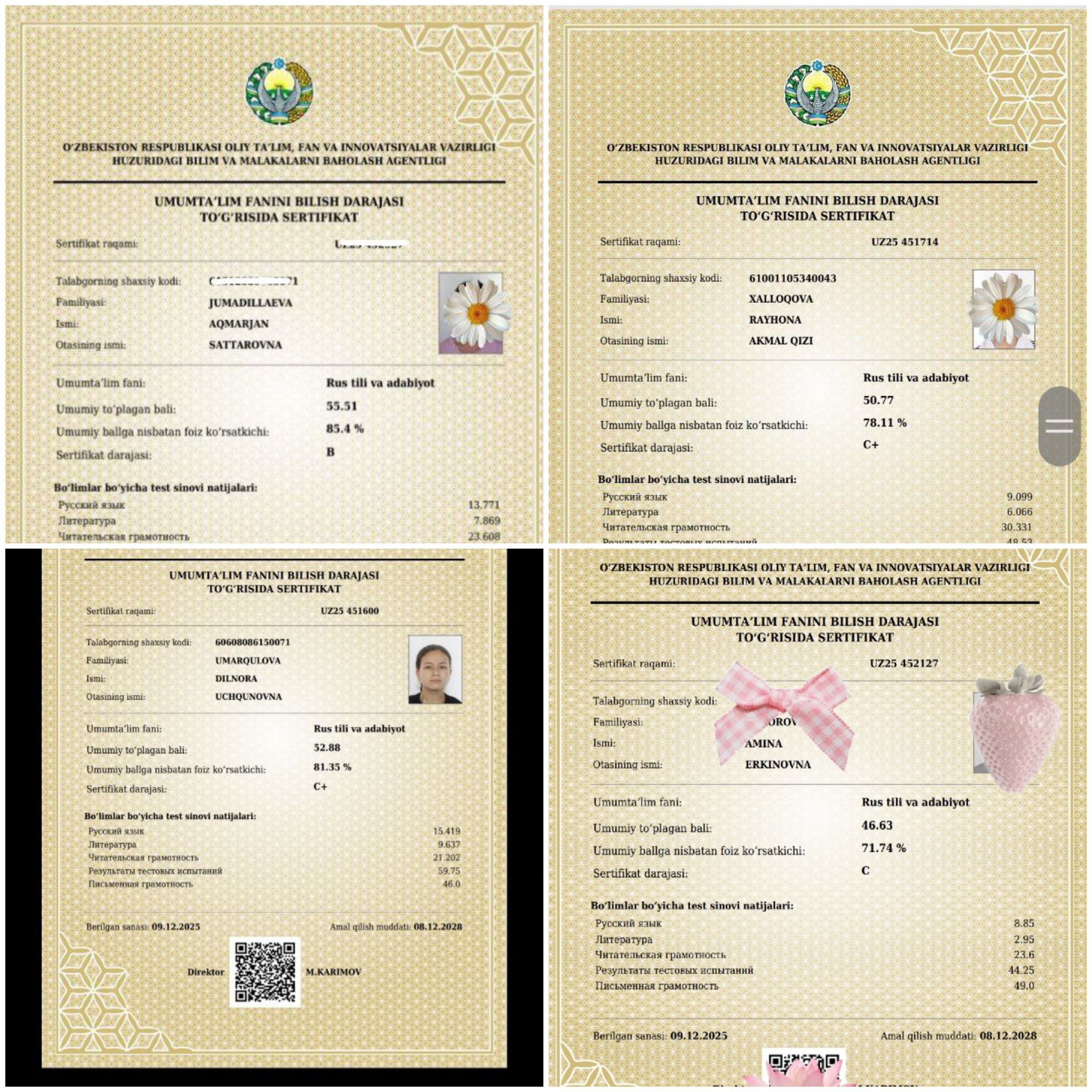 Portfolio Image